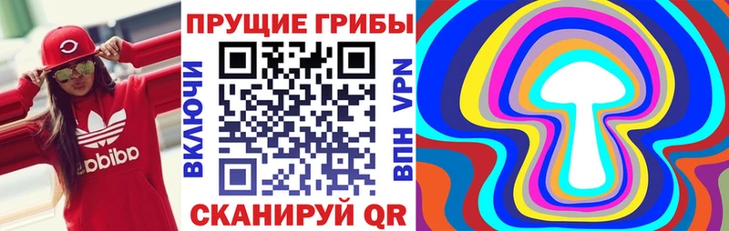 Псилоцибиновые грибы прущие грибы  Красный Сулин 